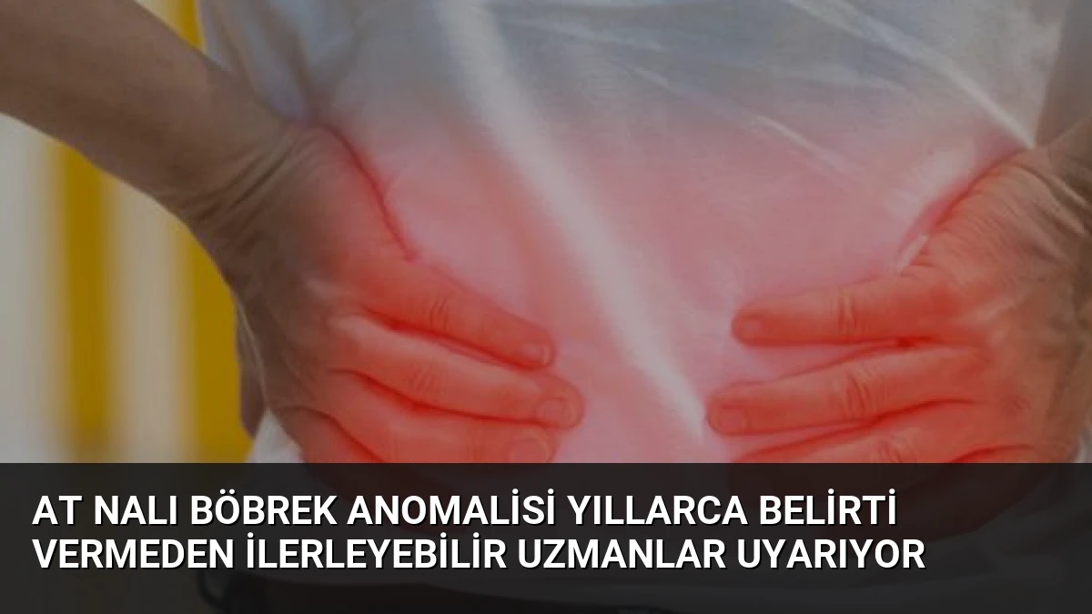 At Nalı Böbrek Anomalisi Yıllarca Belirti Vermeden İlerleyebilir Uzmanlar Uyarıyor