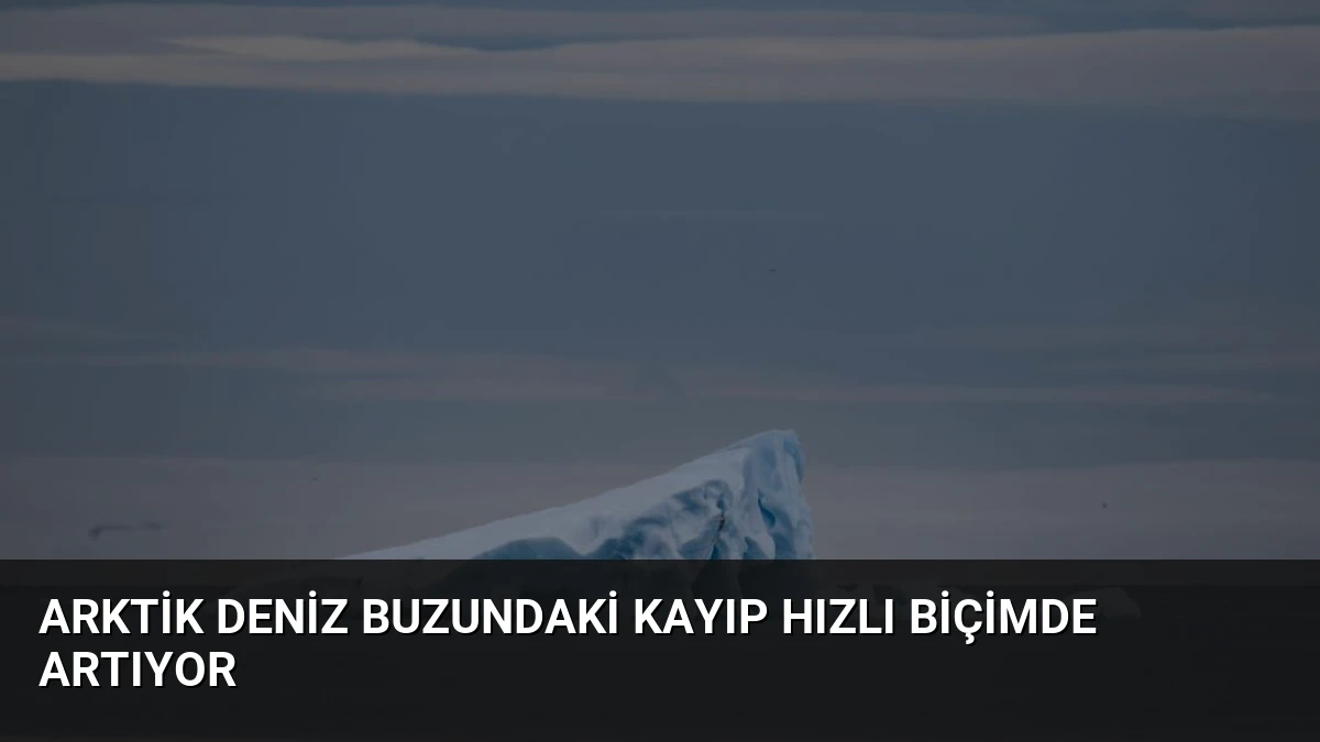 Arktik deniz buzundaki kayıp hızlı biçimde artıyor