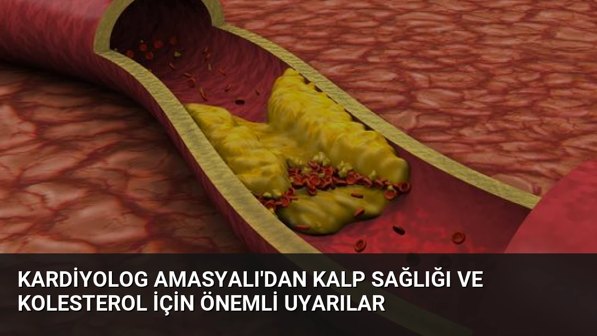 Kardiyolog Amasyalı’dan Kalp Sağlığı ve Kolesterol İçin Önemli Uyarılar