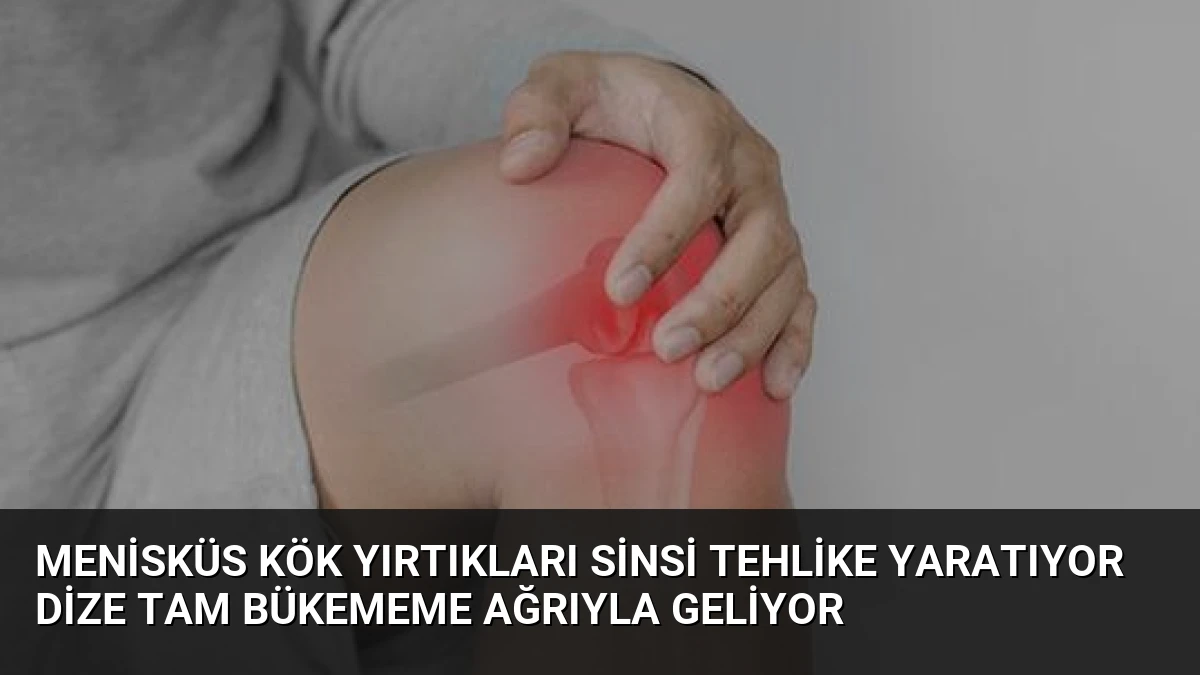 Menisküs Kök Yırtıkları Sinsi Tehlike Yaratıyor Dize Tam Bükememe Ağrıyla Geliyor