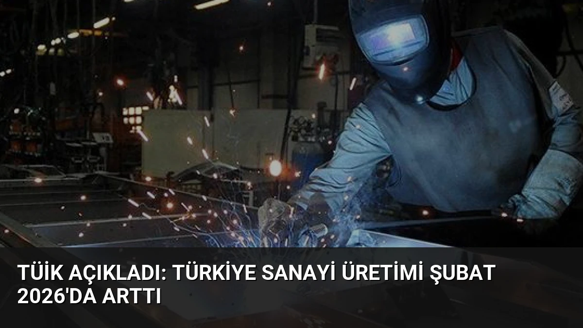 TÜİK Açıkladı: Türkiye Sanayi Üretimi Şubat 2026’da Arttı