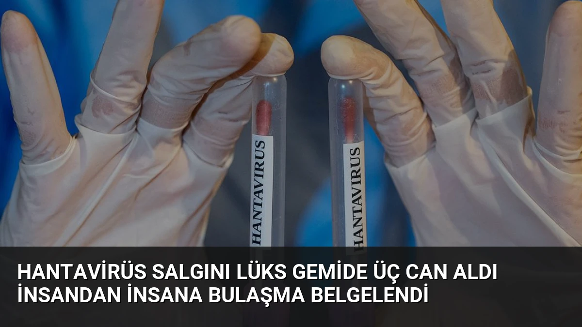 Hantavirüs Salgını Lüks Gemide Üç Can Aldı İnsandan İnsana Bulaşma Belgelendi