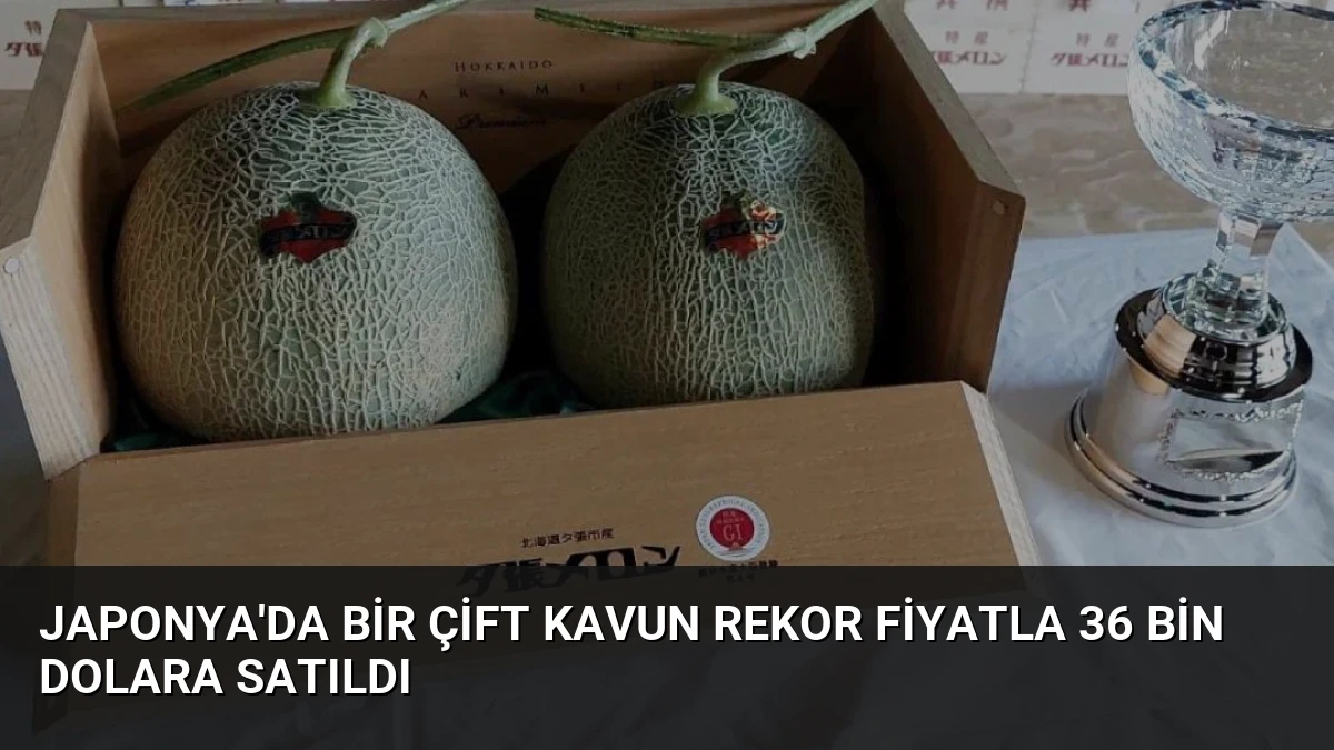 Japonya’da Bir Çift Kavun Rekor Fiyatla 36 Bin Dolara Satıldı