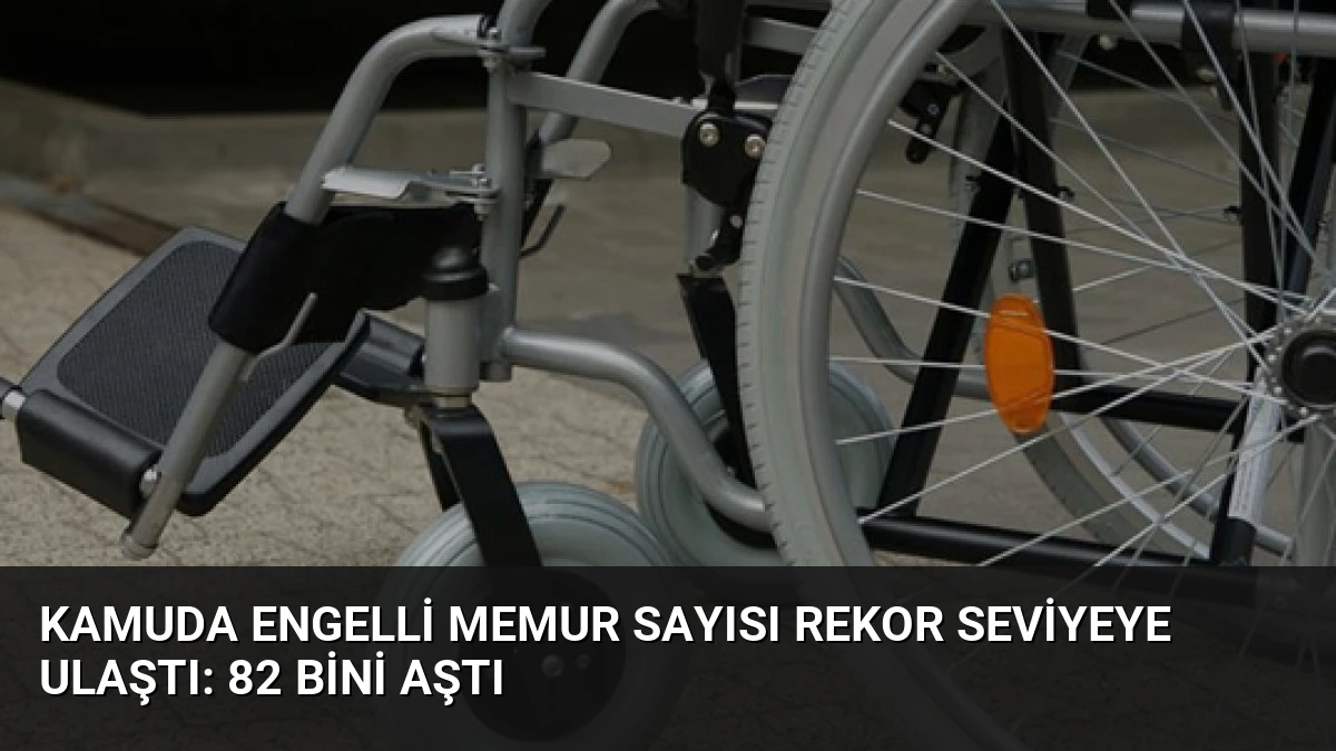 Kamuda Engelli Memur Sayısı Rekor Seviyeye Ulaştı: 82 Bini Aştı