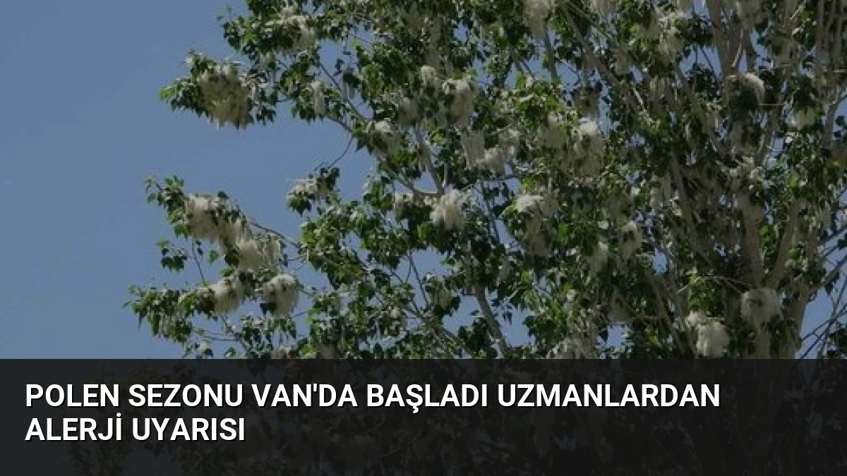 Polen Sezonu Van’da Başladı Uzmanlardan Alerji Uyarısı