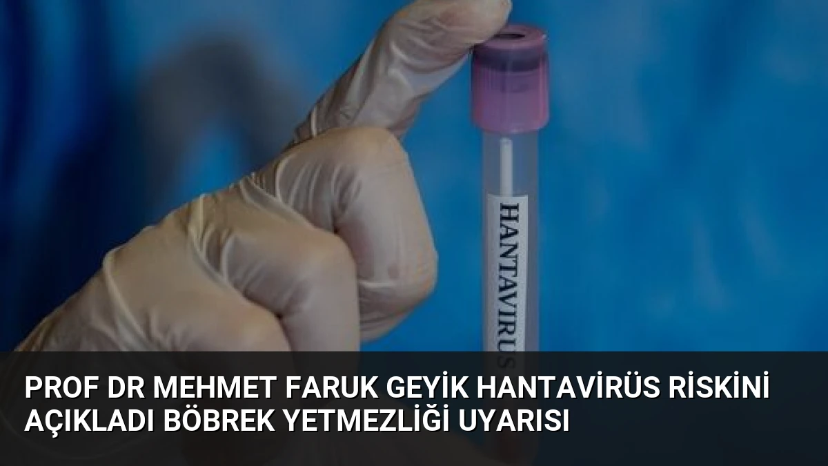 Prof Dr Mehmet Faruk Geyik Hantavirüs Riskini Açıkladı Böbrek Yetmezliği Uyarısı