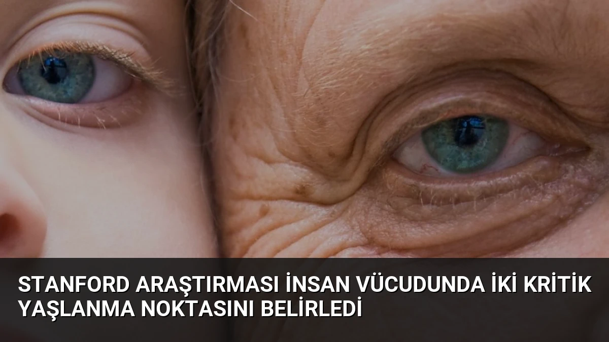 Stanford Araştırması İnsan Vücudunda İki Kritik Yaşlanma Noktasını Belirledi
