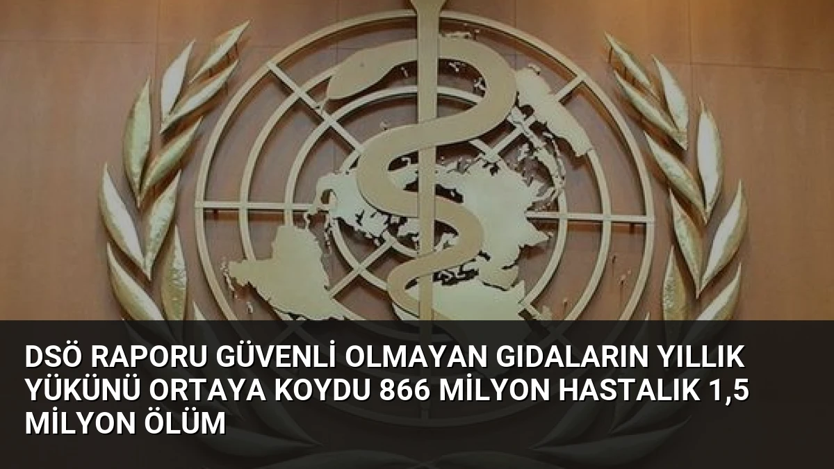 DSÖ Raporu Güvenli Olmayan Gıdaların Yıllık Yükünü Ortaya Koydu 866 Milyon Hastalık 1,5 Milyon Ölüm