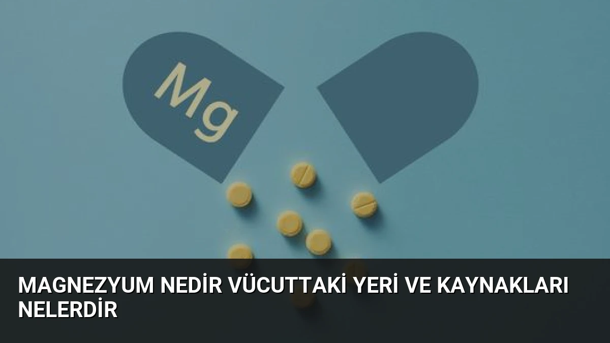 Magnezyum Nedir Vücuttaki Yeri ve Kaynakları Nelerdir
