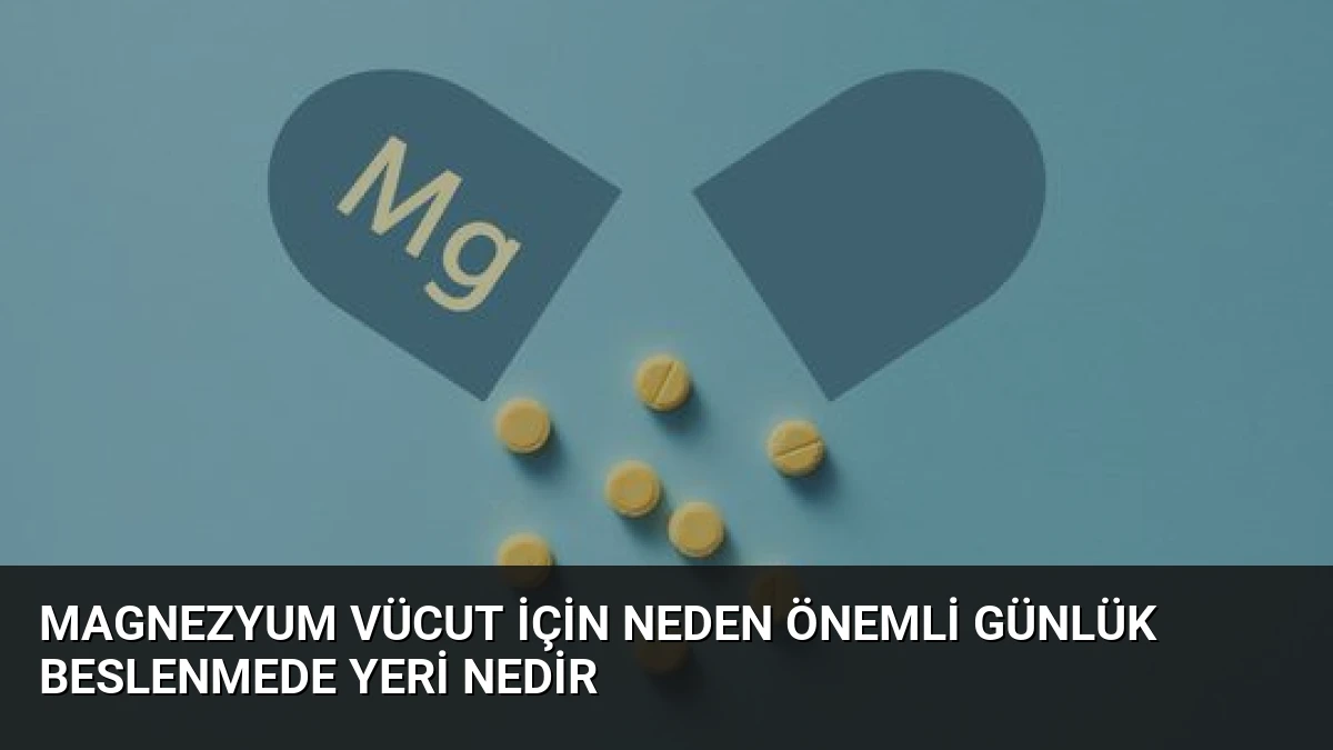 Magnezyum Vücut İçin Neden Önemli Günlük Beslenmede Yeri Nedir