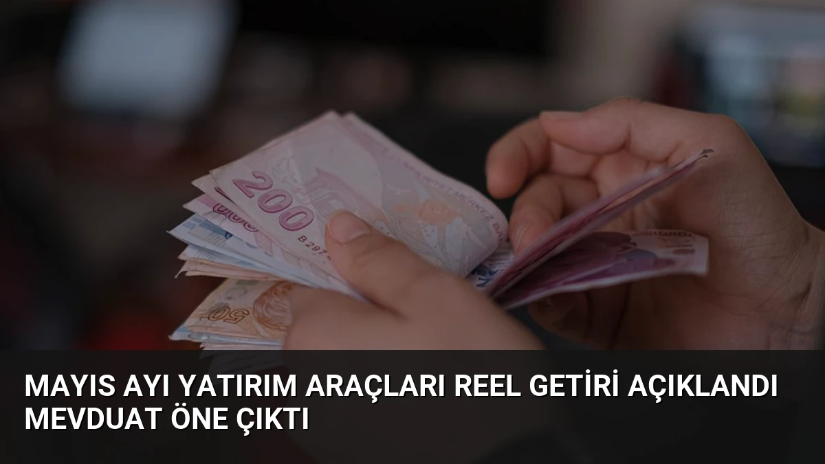 Mayıs Ayı Yatırım Araçları Reel Getiri Açıklandı Mevduat Öne Çıktı