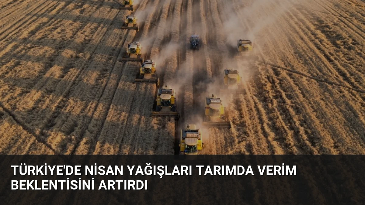 Türkiye’de Nisan Yağışları Tarımda Verim Beklentisini Artırdı