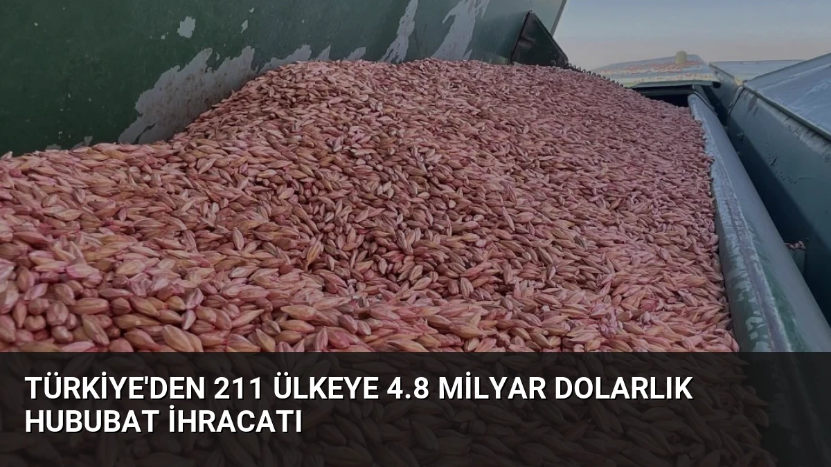 Türkiye’den 211 Ülkeye 4.8 Milyar Dolarlık Hububat İhracatı