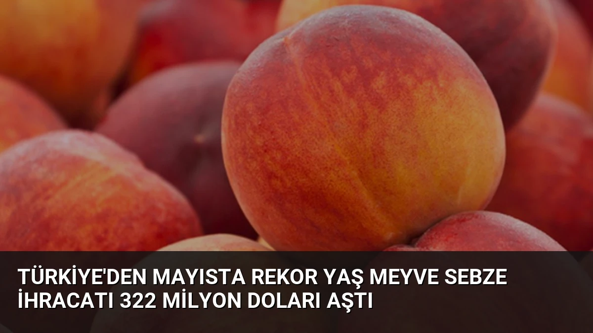 Türkiye’den Mayısta Rekor Yaş Meyve Sebze İhracatı 322 Milyon Doları Aştı