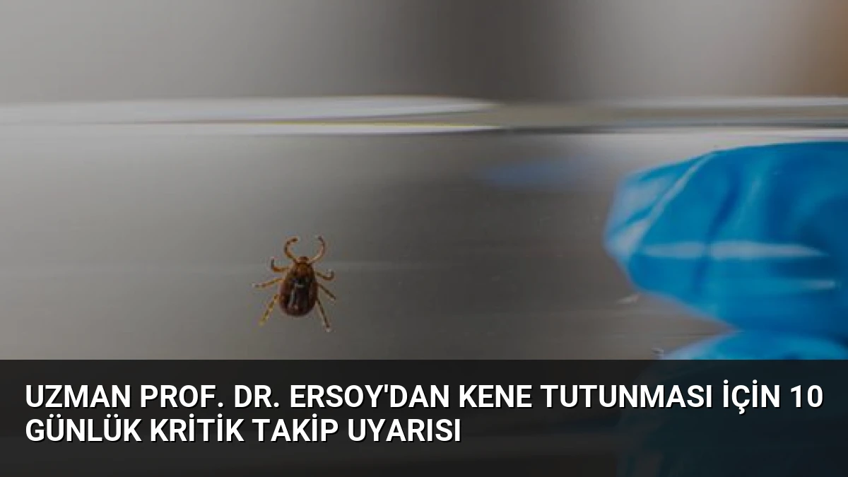 Uzman Prof. Dr. Ersoy’dan Kene Tutunması İçin 10 Günlük Kritik Takip Uyarısı