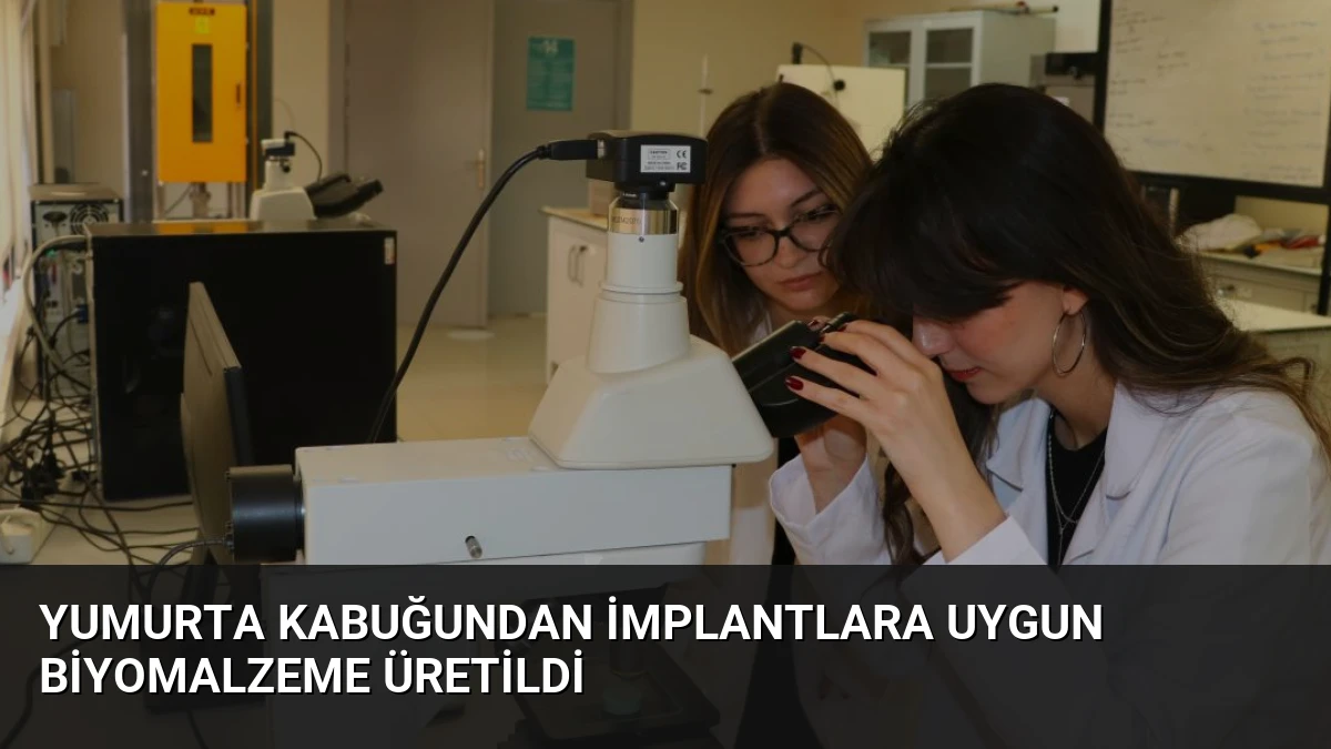 Yumurta Kabuğundan İmplantlara Uygun Biyomalzeme Üretildi