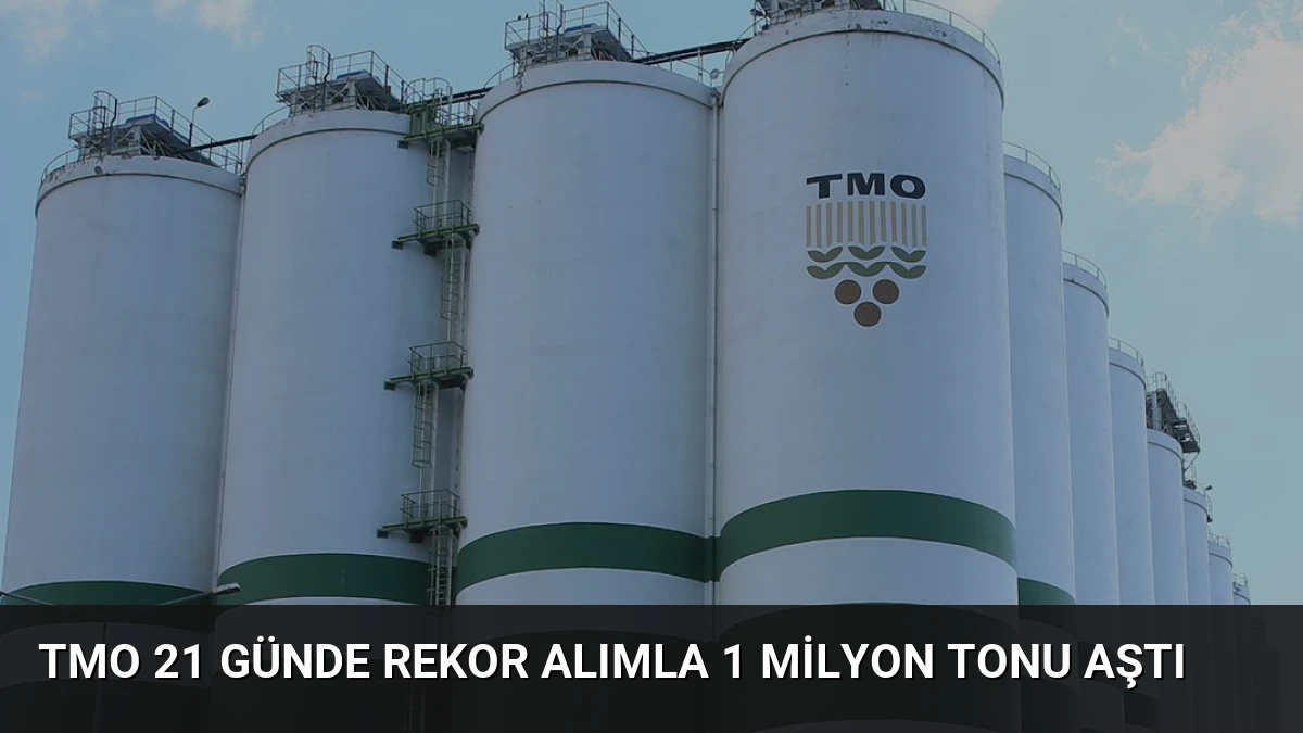 TMO 21 Günde Rekor Alımla 1 Milyon Tonu Aştı