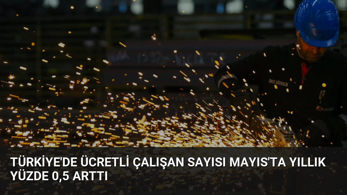 Türkiye’de Ücretli Çalışan Sayısı Mayıs’ta Yıllık Yüzde 0,5 Arttı