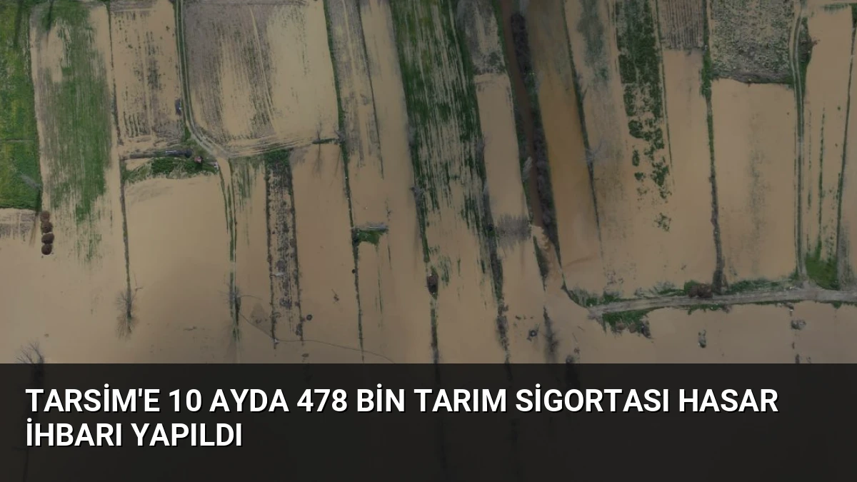 TARSİM’e 10 Ayda 478 Bin Tarım Sigortası Hasar İhbarı Yapıldı